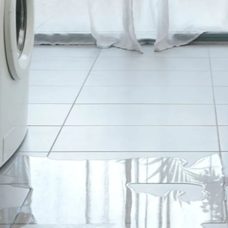 Appliance Leak Cleanup in Steele, AL