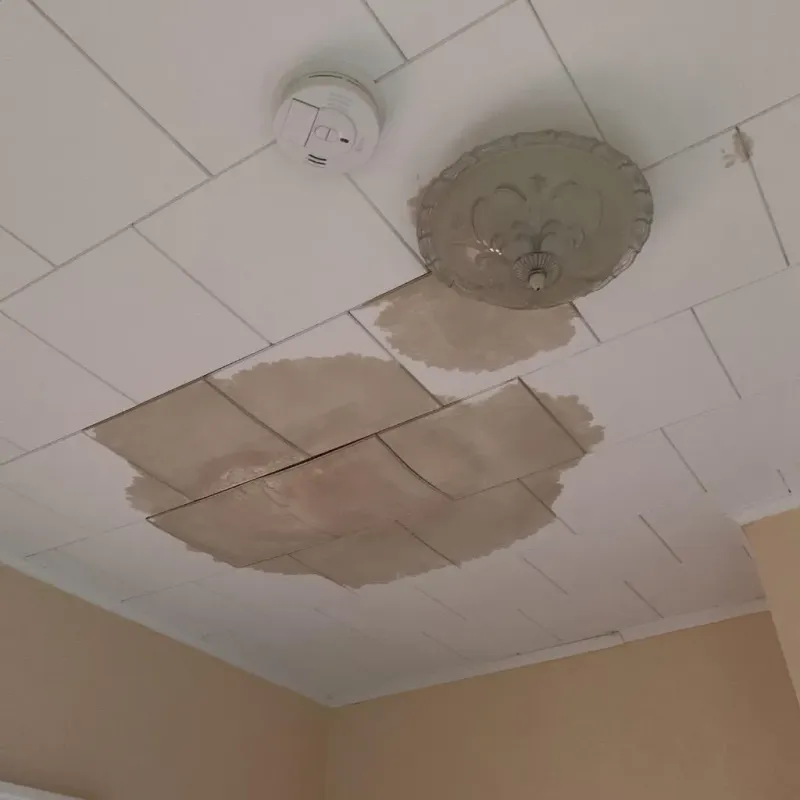Ceiling Water Damage Repair in Steele, AL