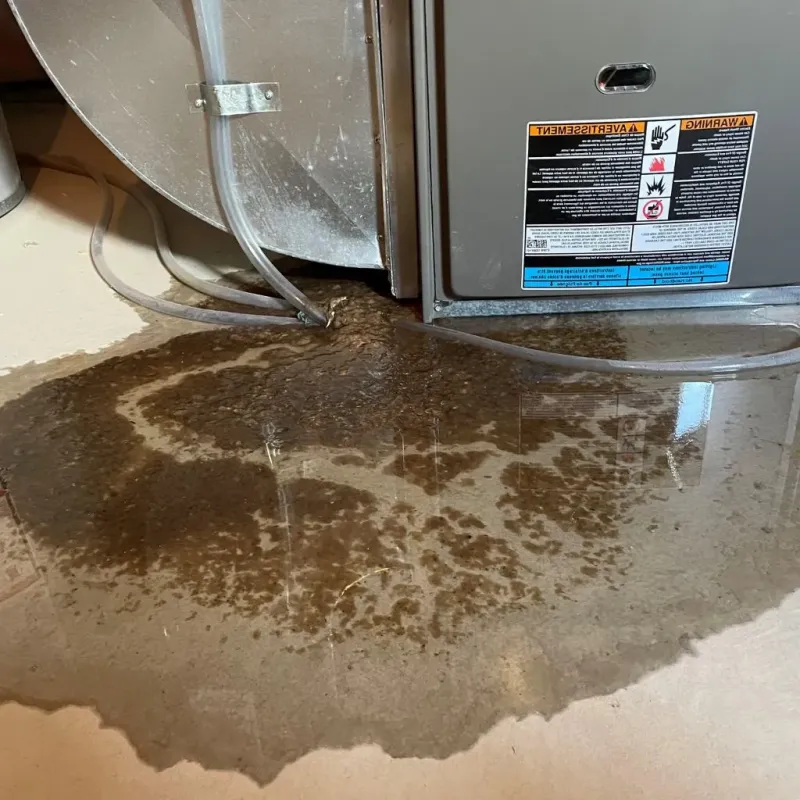 Pipe Burst and Leak Restoration in Steele, AL