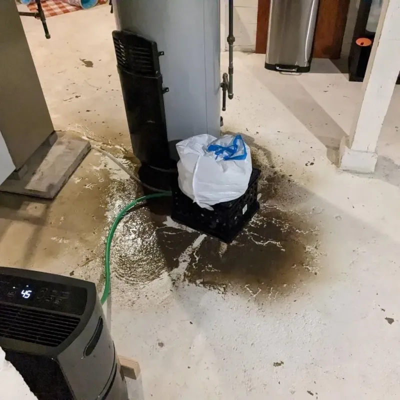 Sewage Backup Cleanup Service in Steele, AL